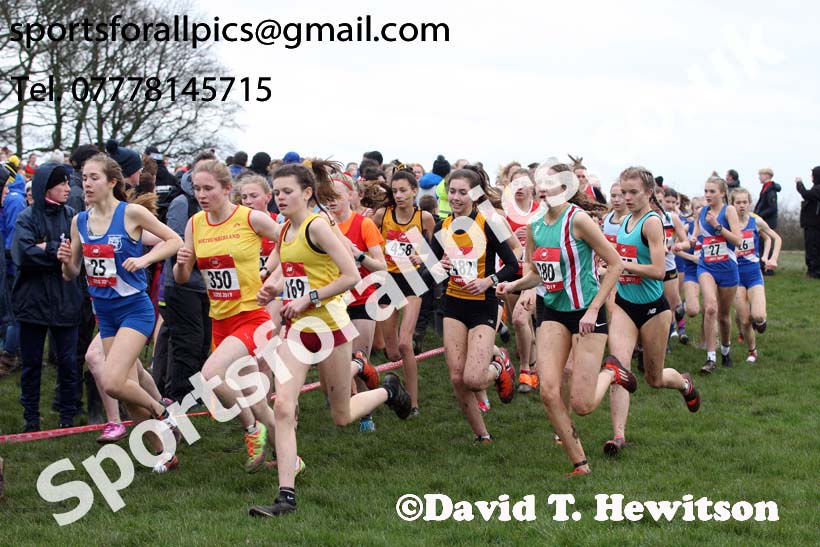 Intermediate girls 2019 New Balance English Schools Cross Country Champs, Temple Newsam, Leeds. Photo:  David T. Hewitson/Sports for All Pics